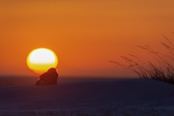_DSC8079