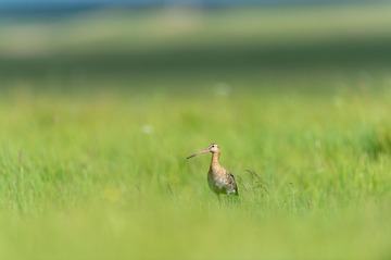 _DSC9647