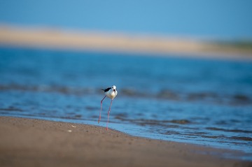 _DSC2562