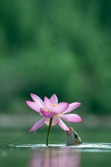 1307051