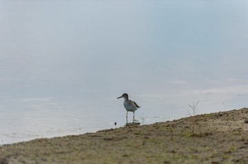 _DSC7824