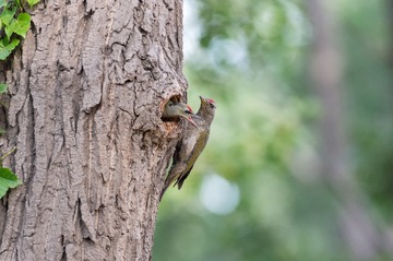 _DSC8694