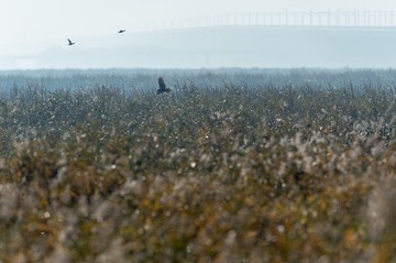 _DSC8173
