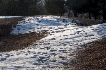 _DSC8740.jpg