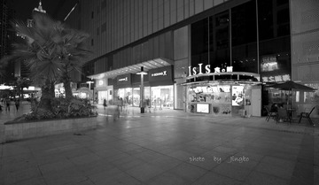 _DSC2791-syx.jpg