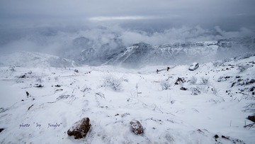 _DSC3270syx.jpg