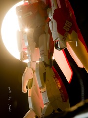 _DSC0633syx.jpg