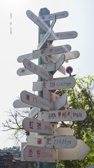 _DSC2480_1syx.jpg