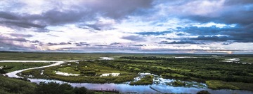 _DSC4679-1.jpg