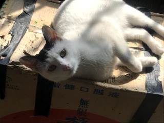 757