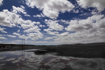 IMG_2260-.jpg