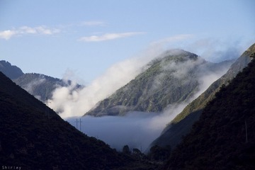 IMG_2551-.jpg