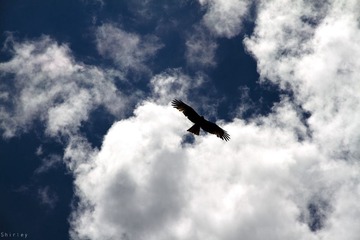 IMG_2576-.jpg