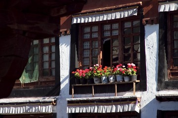 IMG_2592-.jpg
