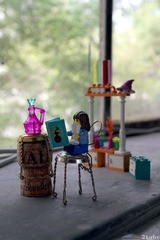 IMG_0421-