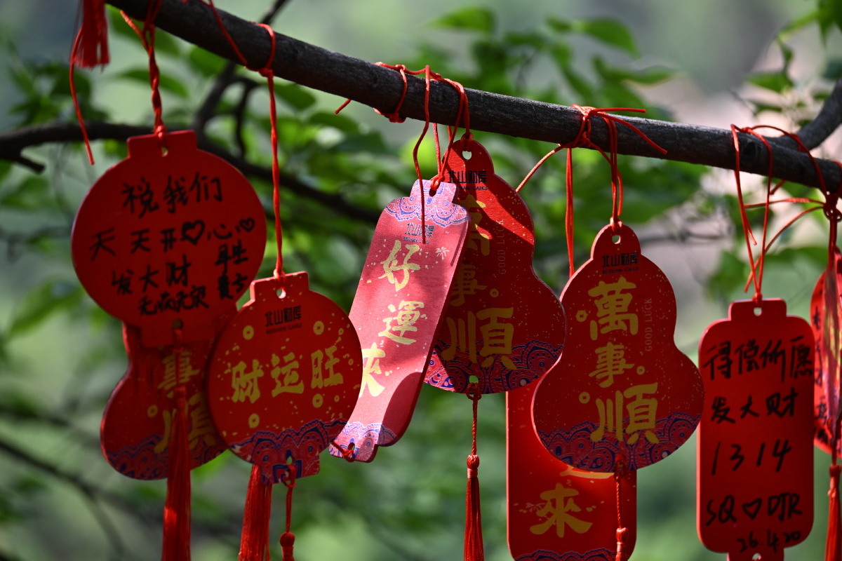 红牌悬古枝,满树寄祈愿。