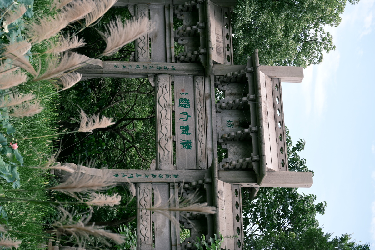 石坊藏翠木,芦穗衬清欢。