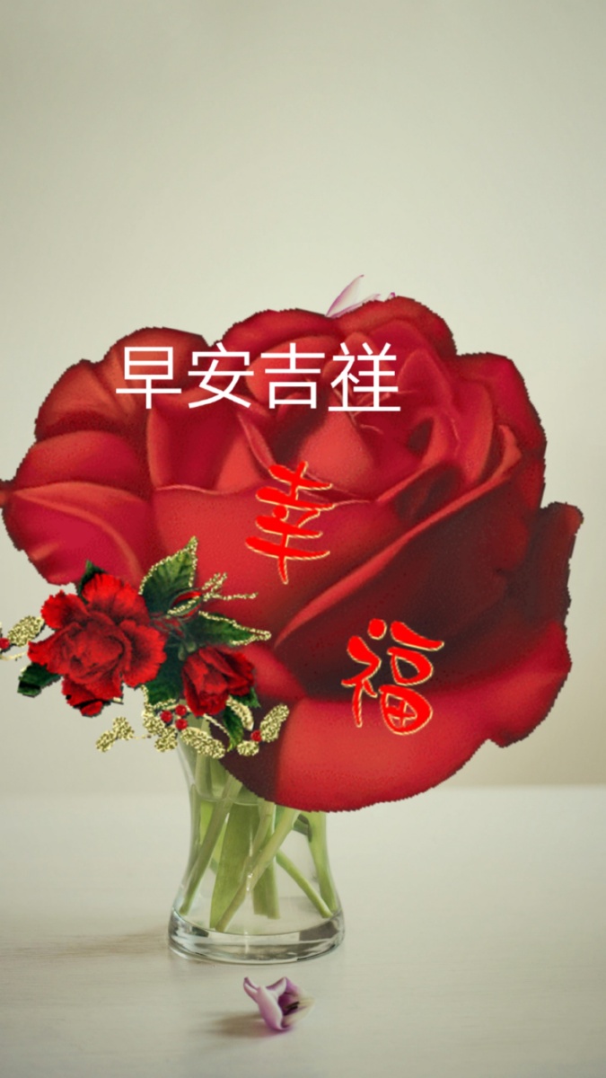 祝君早安