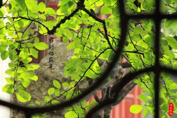 IMG_3902_副本开窗有洞天.jpg