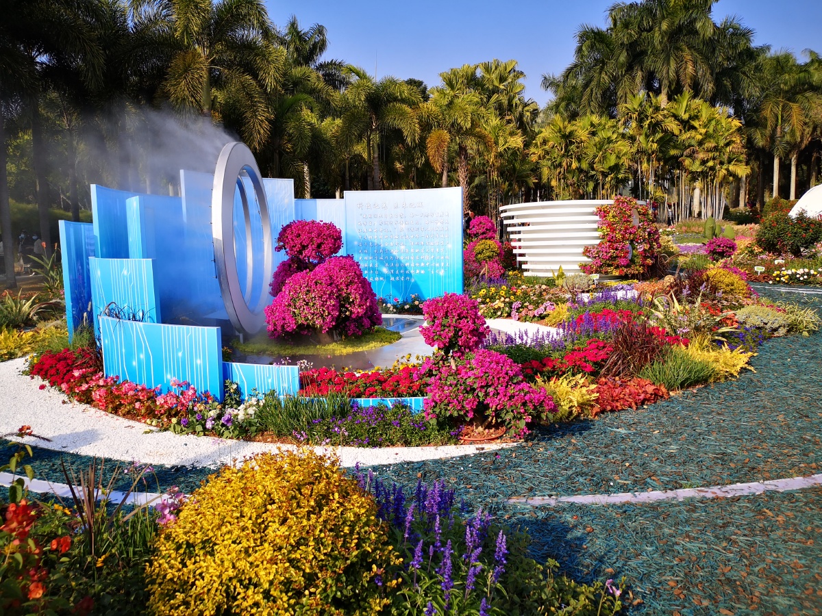 深圳市莲花山公园花展