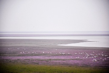 12035