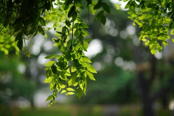 662F2A04-DA2D-493A-9F05-359414DBE1EF/L0/001