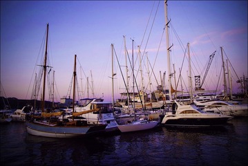_DSF9232.JPG