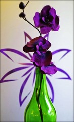 DSCF1257.JPG