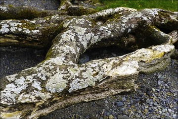 DSCF1308.JPG
