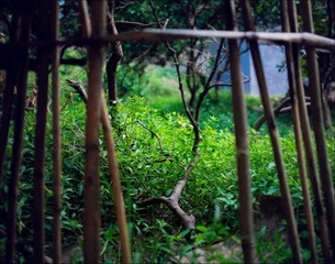 _H8A0085.jpg