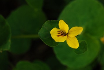 DSC_0007.JPG