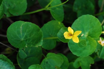 DSC_0010.JPG