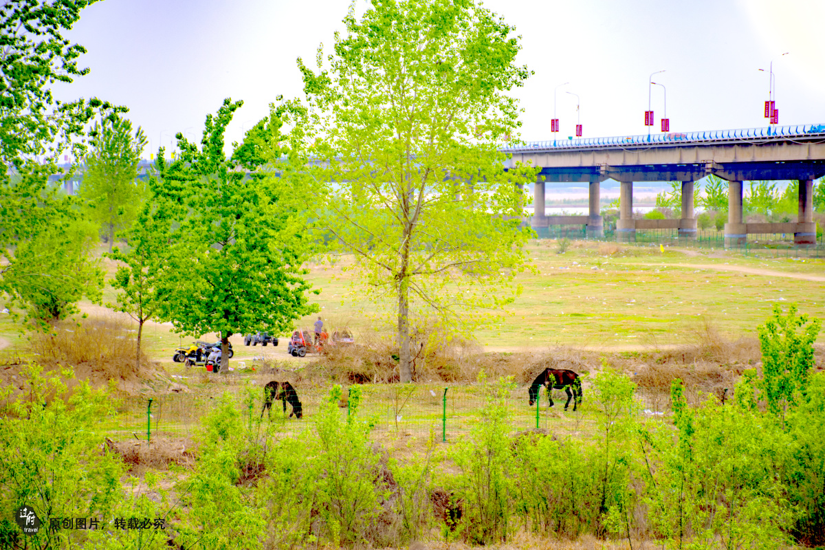 花园口黄河大堤