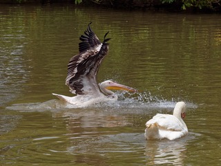 P5010574_DxO