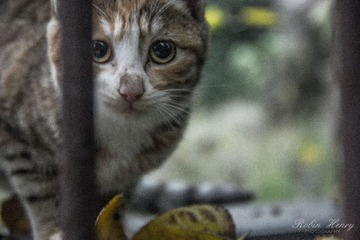 IMG_0611 - 副本.jpg