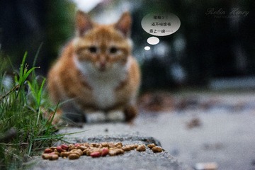 IMG_0664 - 副本.jpg