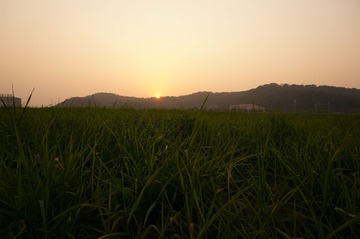 DSC00083.JPG