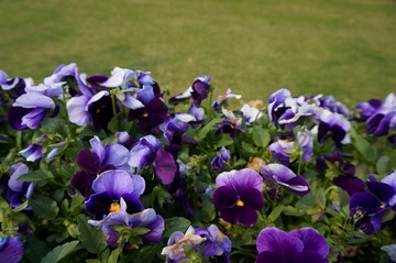 DSC00143.JPG