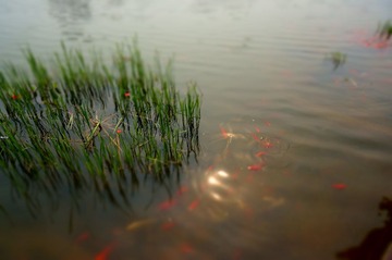 DSC00134.JPG