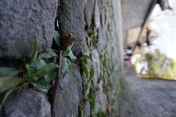 DSC00805.JPG