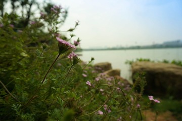 DSC01087.jpg