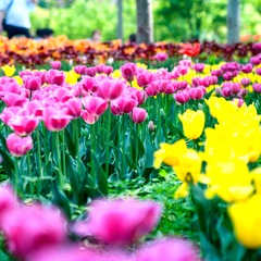 “DSC_3358”为智能对象-1.jpg