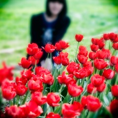 “DSC_3538”为智能对象-1.jpg