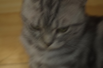 23756
