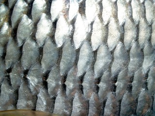 189526435710632610