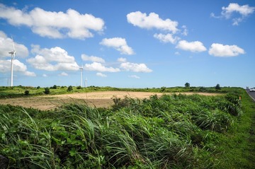 DSC_0201.jpg