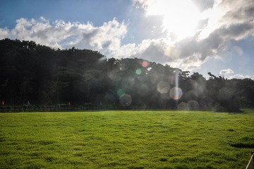 DSC_0452.jpg