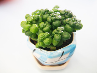 https://cdn6-banquan.ituchong.com/weili/l/200675870163337229.jpg