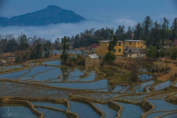 DSC_6556 拷贝