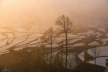 DSC_7016 拷贝